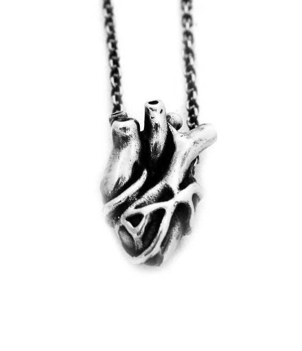 medium anatomical heart