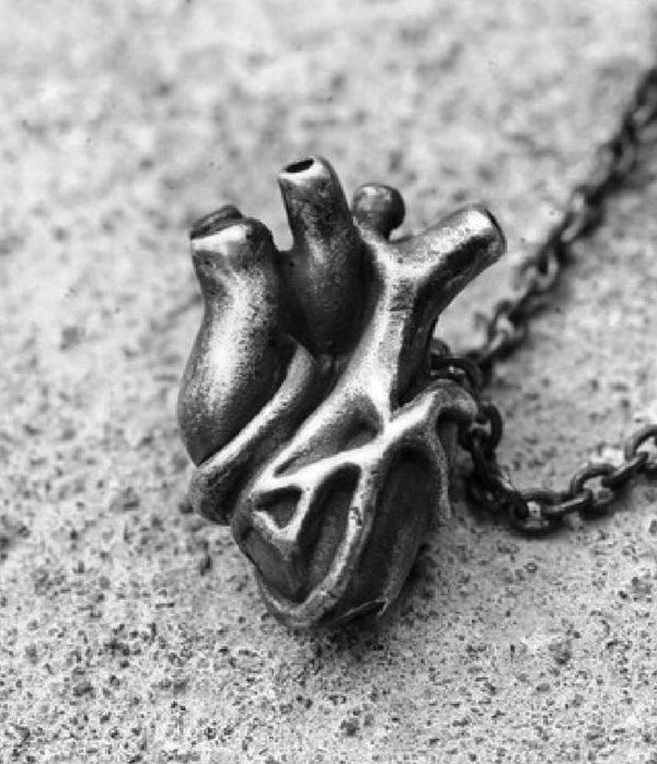 medium anatomical heart